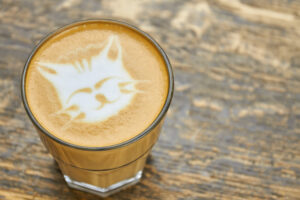Cat coffee art